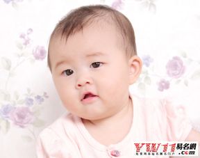 新生儿起名免费(新生儿起名免费大全) 新生儿起名免费(新生儿起名免费大全)