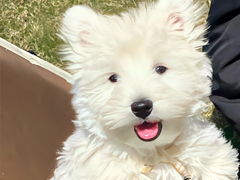 个性昵称(个性昵称简短好听) 个性昵称(个性昵称简短好听)