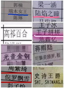 真正免费起名网（真正免费起名网站）