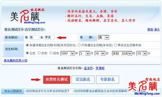 免费起名网站大全（免费起名网址）