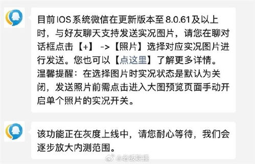 微信聊天能发live图了 微信聊天能发live图了