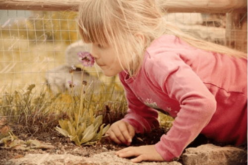 属牛女孩名字洋气的（属牛女孩名字洋气的依字开头）