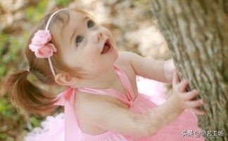 好听的女孩名字有诗意（2020好听的女孩名字有诗意）