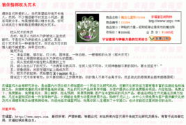 用名字算命的免费软件（用名字算命运）
