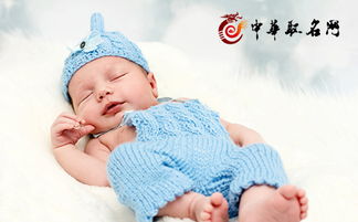 女宝宝名字(女宝宝名字带晨字的名字) 女宝宝名字(女宝宝名字带晨字的名字)