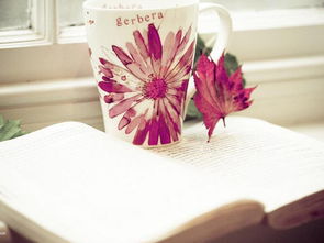 女孩取名大全免费(女孩取名大全免费查询) 女孩取名大全免费(女孩取名大全免费查询)