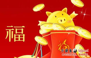 2023兔最旺女孩名字（2023年属兔取名宜用字）