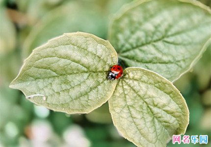 二字小清新昵称(二字昵称 最新) 二字小清新昵称(二字昵称 最新)