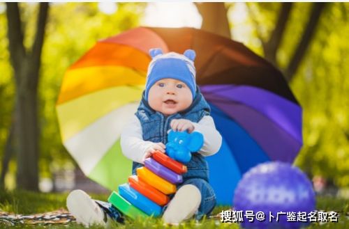 兔宝宝取名女孩(兔宝宝取名女孩单字) 兔宝宝取名女孩(兔宝宝取名女孩单字)