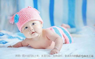 兔宝宝取名女孩(兔宝宝取名女孩单字) 兔宝宝取名女孩(兔宝宝取名女孩单字)