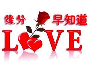 姓名配对天生一对(姓名配对天生一对免费) 姓名配对天生一对(姓名配对天生一对免费)