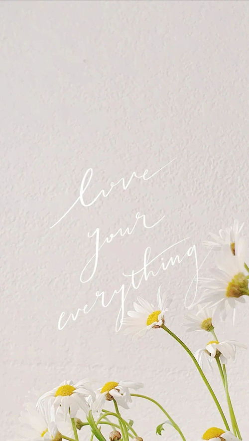 ins风小众网名（ins风小众网名玫瑰）