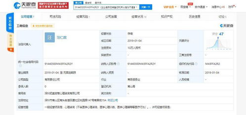 公司名字查询(深圳公司名字查询) - 今题网