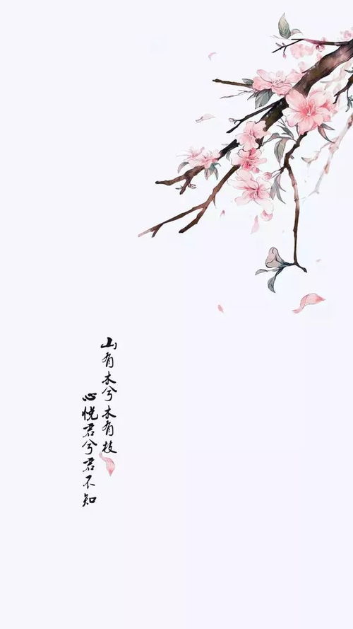 罕见古风二字网名(古风二字网名干净) - 今题网