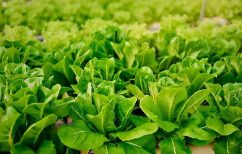 一句吸引人的签名(一句吸引人的签名8个字) - 今题网