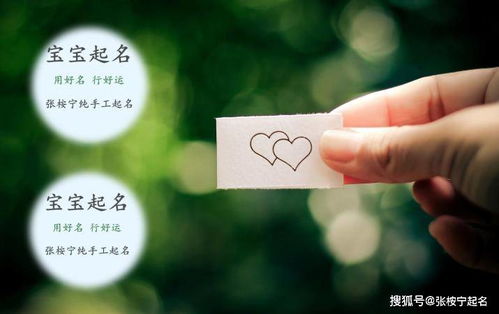 免费取名大全2021最新版的（免费取名大全免费查询） - 今题网