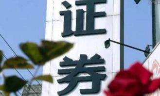 任职获批!东吴证券补位合规总监,顾轶高正式上任 - 今题网