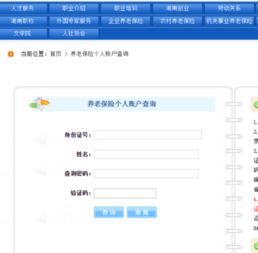 姓名查询系统(号码姓名查询系统) - 今题网