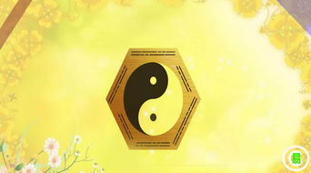 八字算命免费(八字算命免费神巴巴) - 今题网