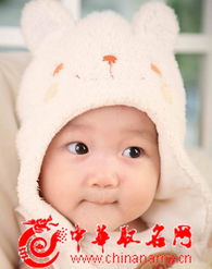 兔宝宝取名字大全（兔宝宝取名字大全免费） - 今题网