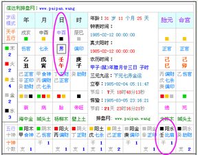 查五行八字缺什么(输入出生日期查五行缺啥) - 今题网