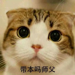 好听的游戏名字男(好听的游戏名字男带符号) - 今题网