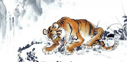 属虎女孩高雅有涵养的名字(属虎女孩好听的名字) - 今题网