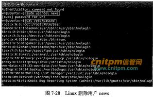 特殊意义小众的英文id(特殊意义小众的英文id男) - 今题网