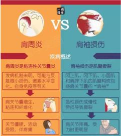 免费起名在线取名（周易免费自动取名） - 今题网