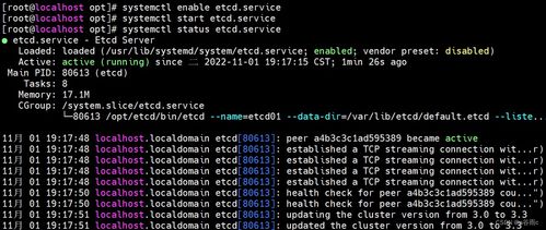 2023年最火爆的网名(2023年最火爆的网名大全) - 今题网