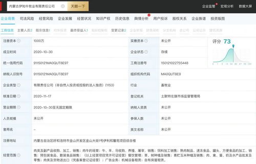 公司起名（公司起名怎么查有没有被注册）