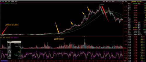 天风策略:牛市主线风格“强者恒强” 但周期风格后半段易有所表现 - 今题网