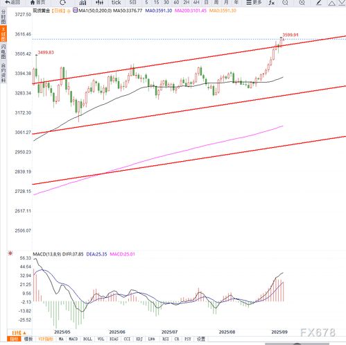 美国就业数据疲软推高降息预期,黄金逼近3600美元关口 - 今题网