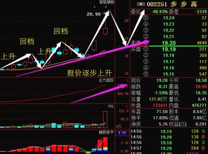 600103,9天6板!本周主力资金大幅抢筹3股 - 今题网