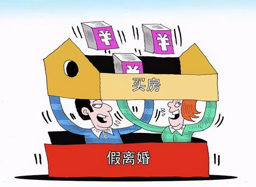 在购房过程中如何确保法律合规？ - 今题网