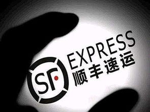 Keep与顺丰同城达成战略合作,推骑士健康运动计划 - 今题网