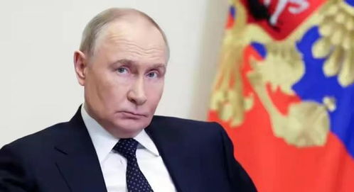 特朗普:现在似乎不是要求普京停火的时候 - 今题网