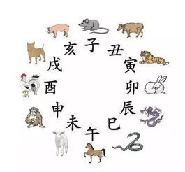 星座绝配但属相不配(星座绝配但属相不配什么意思) 星座绝配但属相不配(星座绝配但属相不配什么意思)