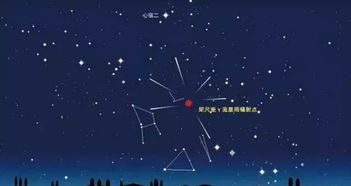 2021年巨蟹座流星雨（2021年有巨蟹座流星雨吗）