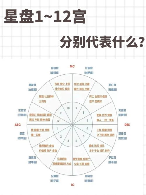 上升星座决定什么（上升星座表现在哪些方面）