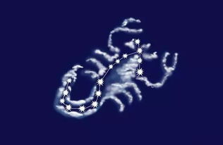 射手摩羯座的女人性格(射手摩羯座女生真正的性格) 射手摩羯座的女人性格(射手摩羯座女生真正的性格)