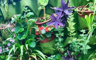 公历4月1日是什么星座（公历4月1日是什么星座的）