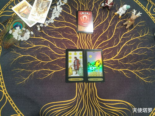 塔罗牌二选一免费测试(塔罗 二选一) 塔罗牌二选一免费测试(塔罗 二选一)
