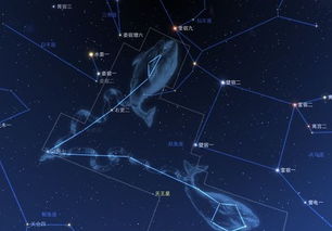 双鱼座今日运势女2021（双鱼座今日运势女2024）
