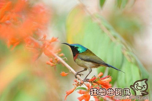 双鱼座和什么座最配对闺蜜（双鱼座跟什么星座是最好的闺蜜）