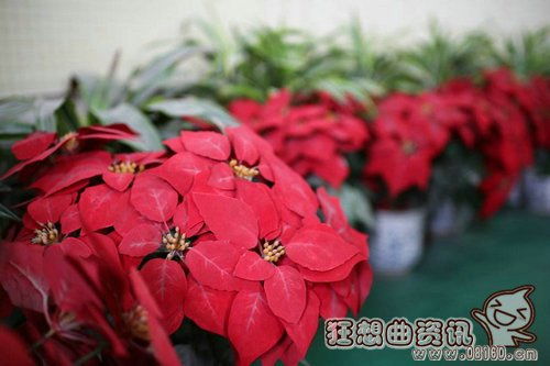 双鱼座和什么座最配对闺蜜（双鱼座跟什么星座是最好的闺蜜）