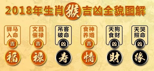 新浪生肖运势查询(新浪网生肖运势) 新浪生肖运势查询(新浪网生肖运势)