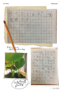 5月1日至6月30日什么星座(5月1日是星期几6月1日是星期几) 5月1日至6月30日什么星座(5月1日是星期几6月1日是星期几)