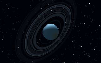 出生年月查询星座（出生年月日查询星座）