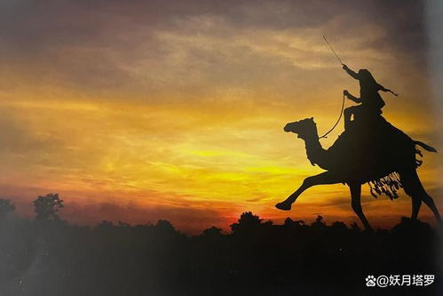 射手男喜欢一个人的表现是什么(射手男动情后的疯狂表现) 射手男喜欢一个人的表现是什么(射手男动情后的疯狂表现)